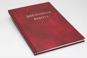 Дипломная работа