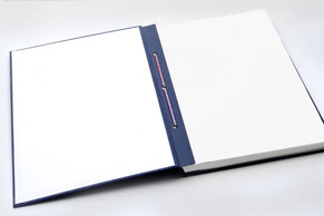 Выпускная квалификационная работа бакалавра