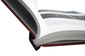 Выпускная квалификационная работа